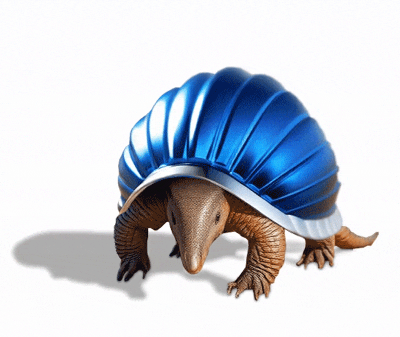 armadillo-new-compress